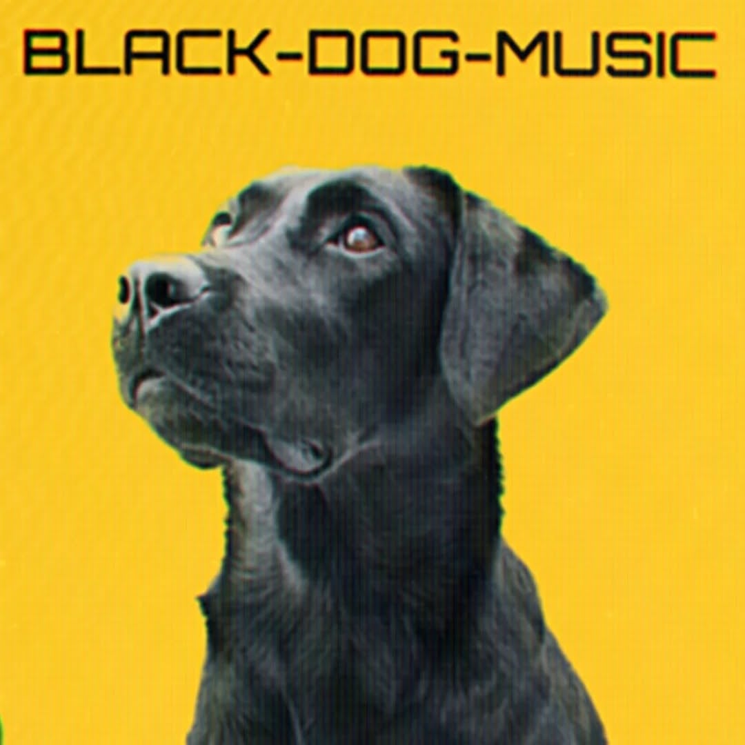 Black Dog Music